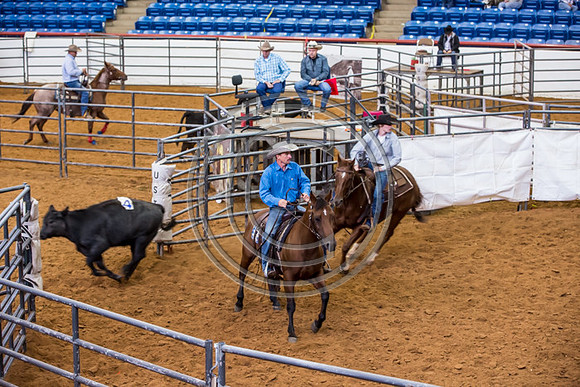 Crystal_Gibson_Photo_00063