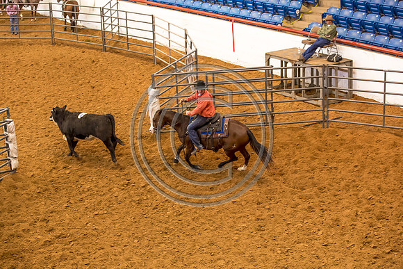 Crystal_Gibson_Photo_00019-2