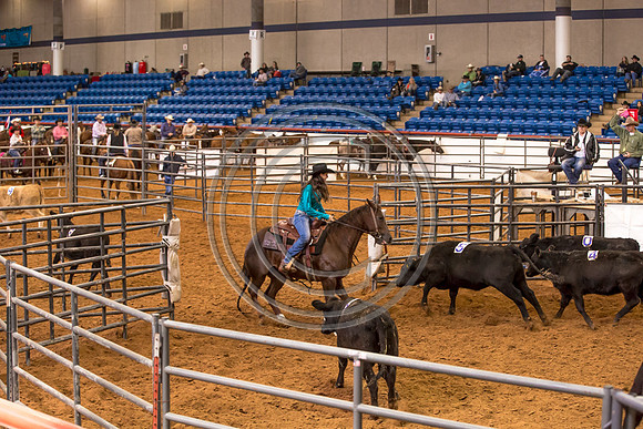 Crystal_Gibson_Photo_00017-2