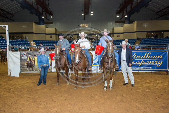 Crystal_Gibson_Photo_00244