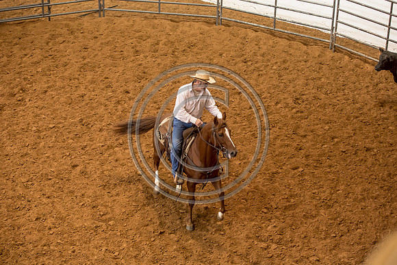 Crystal_Gibson_Photo_00027-2