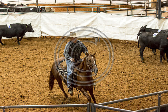 Crystal_Gibson_Photo_00042-2