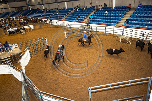 Crystal_Gibson_Photo_00053