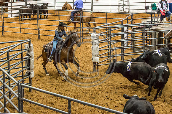 Crystal_Gibson_Photo_00149