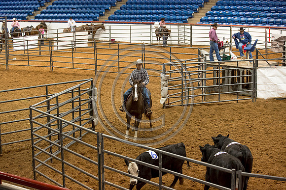 Crystal_Gibson_Photo_00148