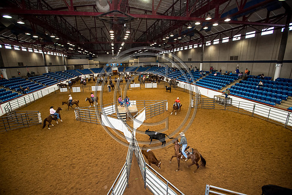 Crystal_Gibson_Photo_00067