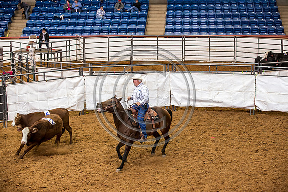 Crystal_Gibson_Photo_00065