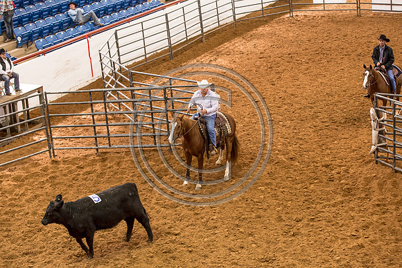 Crystal_Gibson_Photo_00039-2