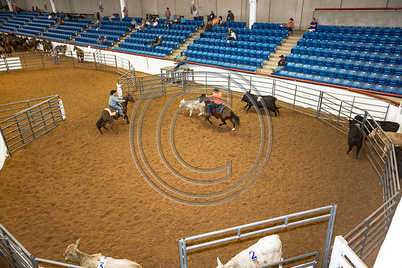 Crystal_Gibson_Photo_00048