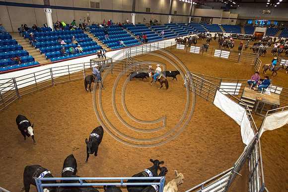 Crystal_Gibson_Photo_00055