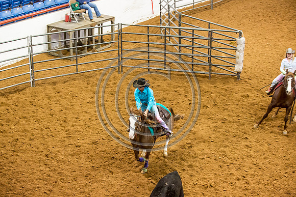 Crystal_Gibson_Photo_00161