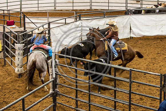 Crystal_Gibson_Photo_00054