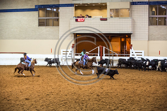 Crystal_Gibson_Photo_00180-2