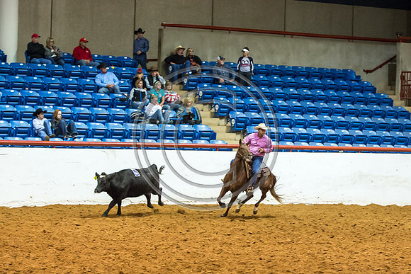 Crystal_Gibson_Photo_00090-2