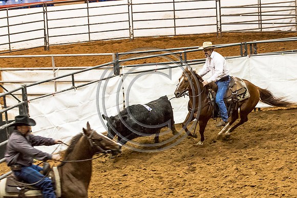 Crystal_Gibson_Photo_00147
