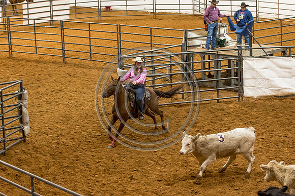 Crystal_Gibson_Photo_00045-2