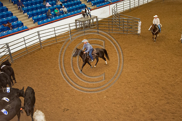 Crystal_Gibson_Photo_00054
