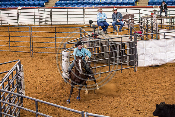 Crystal_Gibson_Photo_00064