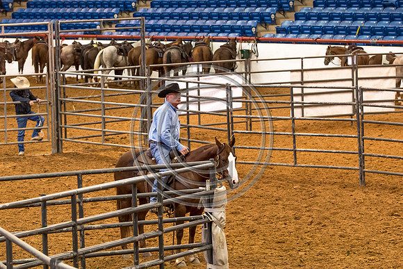 Crystal_Gibson_Photo_00141