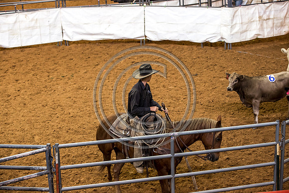 Crystal_Gibson_Photo_00048