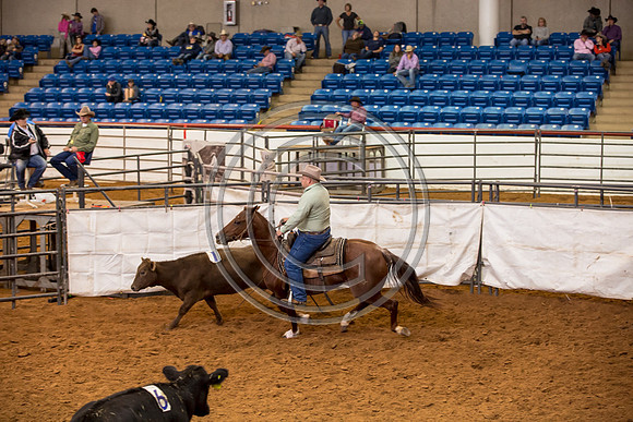 Crystal_Gibson_Photo_00022-2