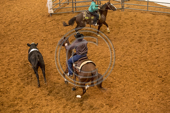 Crystal_Gibson_Photo_00143