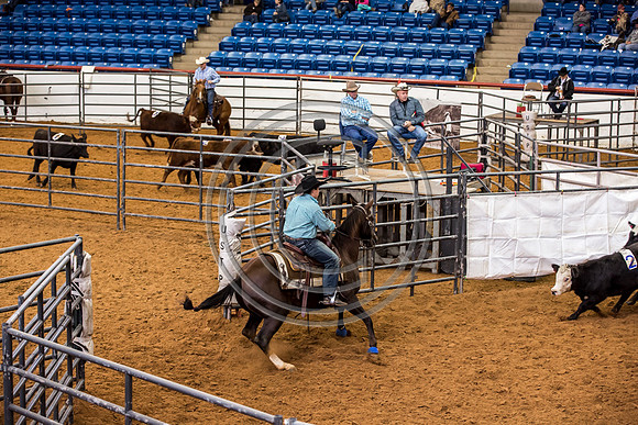 Crystal_Gibson_Photo_00062