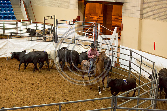 Crystal_Gibson_Photo_00116-2