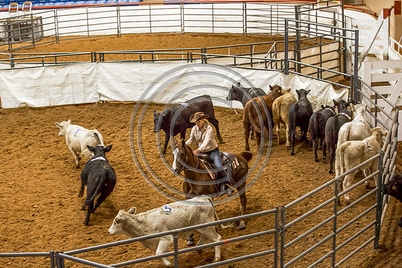 Crystal_Gibson_Photo_00101-2