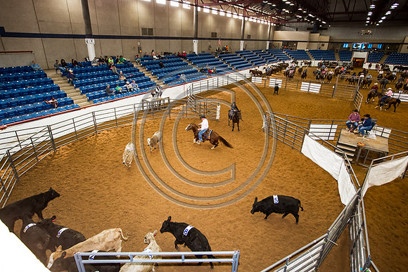 Crystal_Gibson_Photo_00063