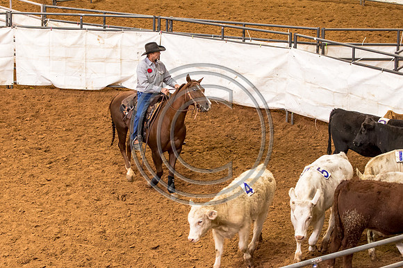 Crystal_Gibson_Photo_00037-2