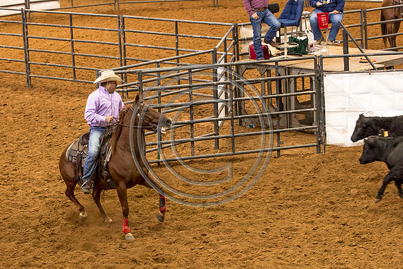 Crystal_Gibson_Photo_00124