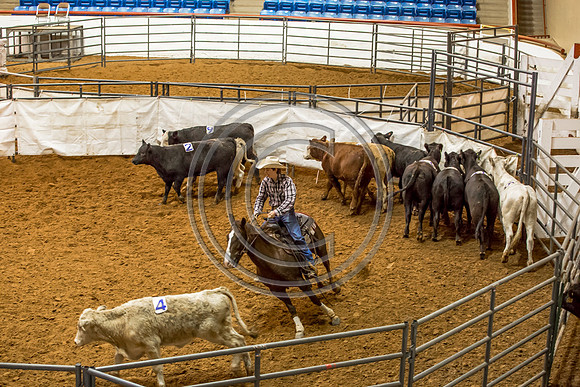 Crystal_Gibson_Photo_00129