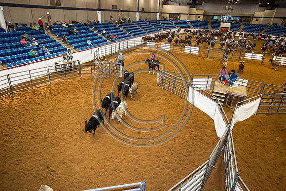 Crystal_Gibson_Photo_00071
