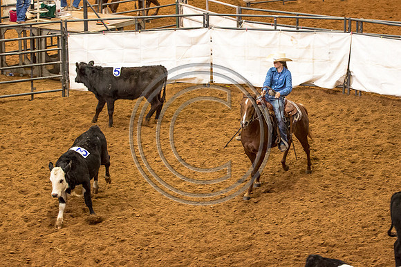 Crystal_Gibson_Photo_00103-2