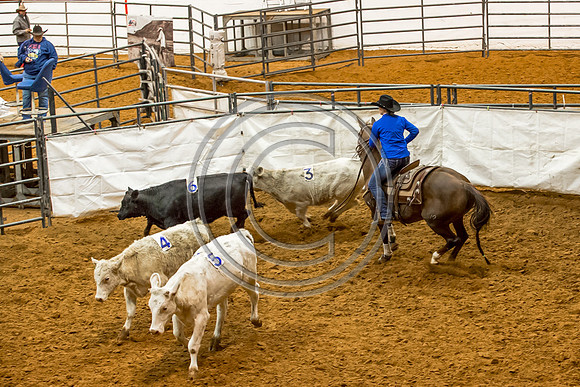 Crystal_Gibson_Photo_00132
