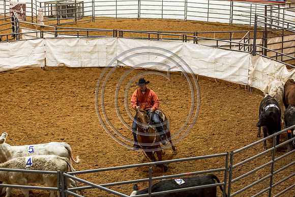 Crystal_Gibson_Photo_00137