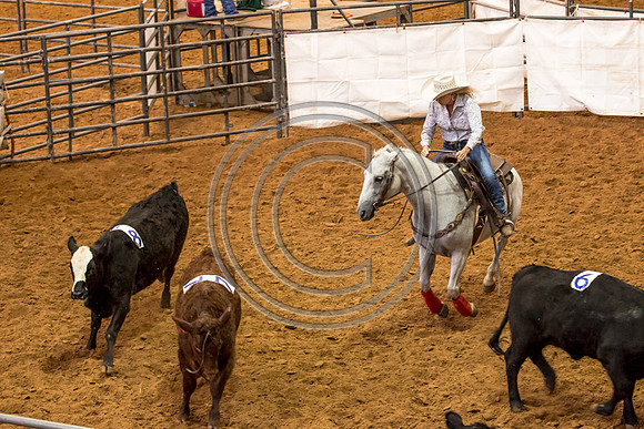 Crystal_Gibson_Photo_00136