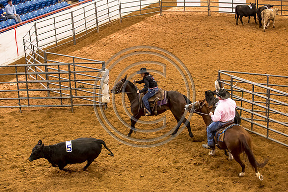 Crystal_Gibson_Photo_00106-2