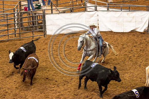 Crystal_Gibson_Photo_00020-2