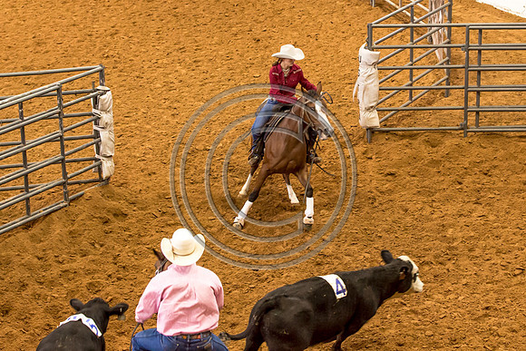 Crystal_Gibson_Photo_00108-2