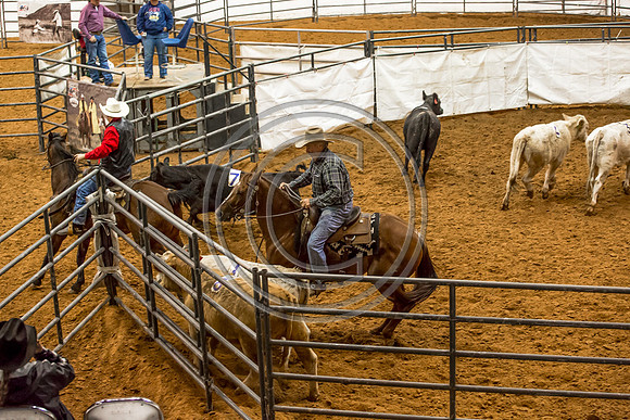 Crystal_Gibson_Photo_00134