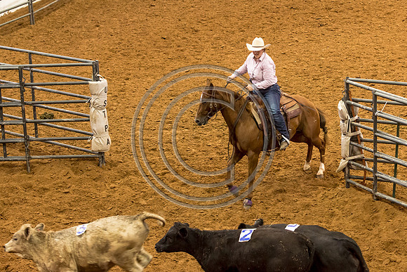 Crystal_Gibson_Photo_00109-2