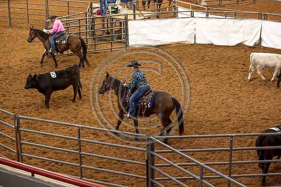Crystal_Gibson_Photo_00105-2
