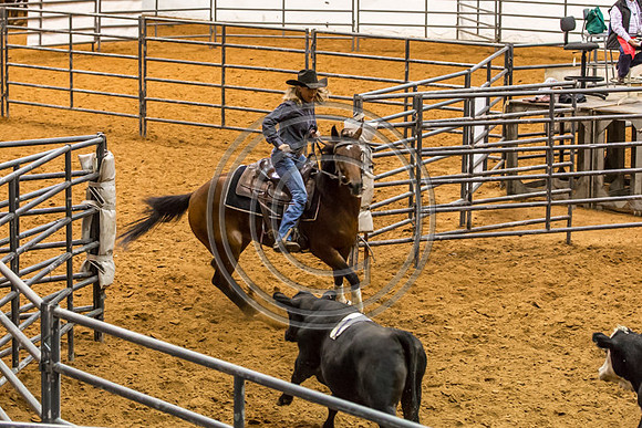 Crystal_Gibson_Photo_00066