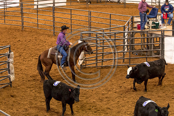 Crystal_Gibson_Photo_00111-2