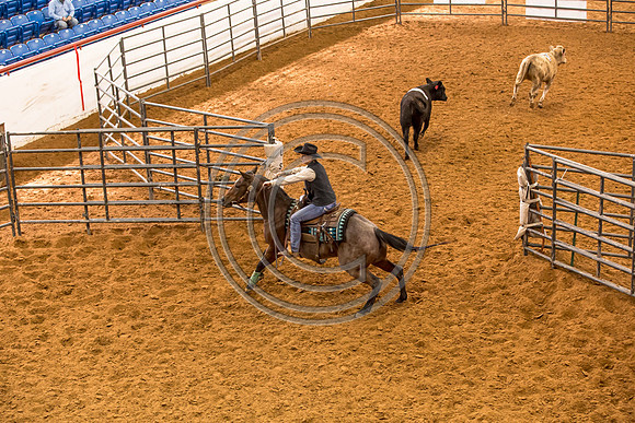 Crystal_Gibson_Photo_00110-2