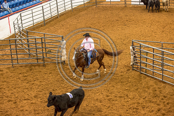 Crystal_Gibson_Photo_00119-2