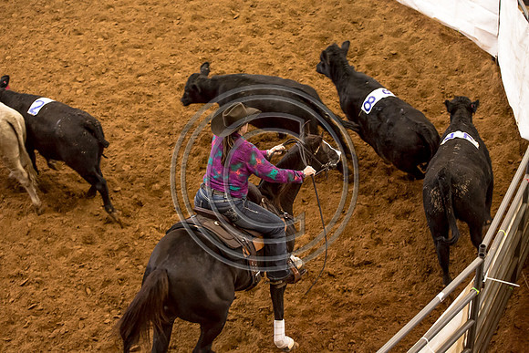Crystal_Gibson_Photo_00135