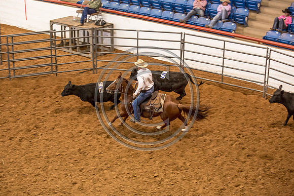 Crystal_Gibson_Photo_00036-2